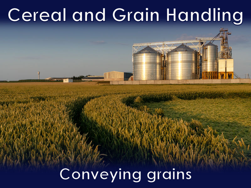 Conveying grains and cereals